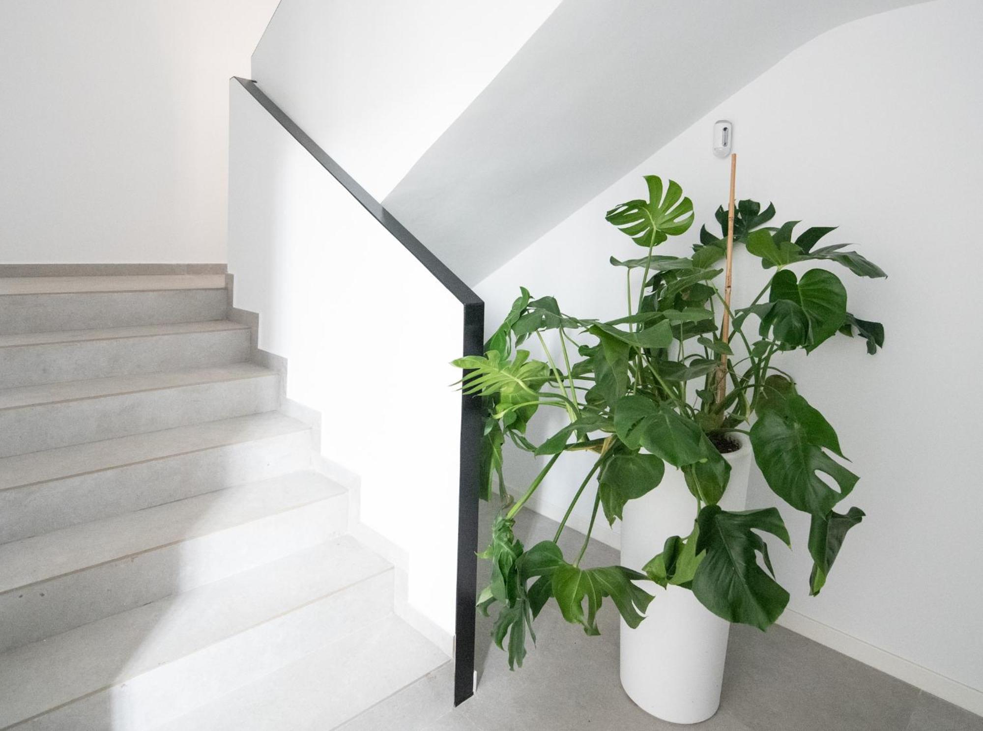 Apartamento Valencia Malvarrosa Esterno foto
